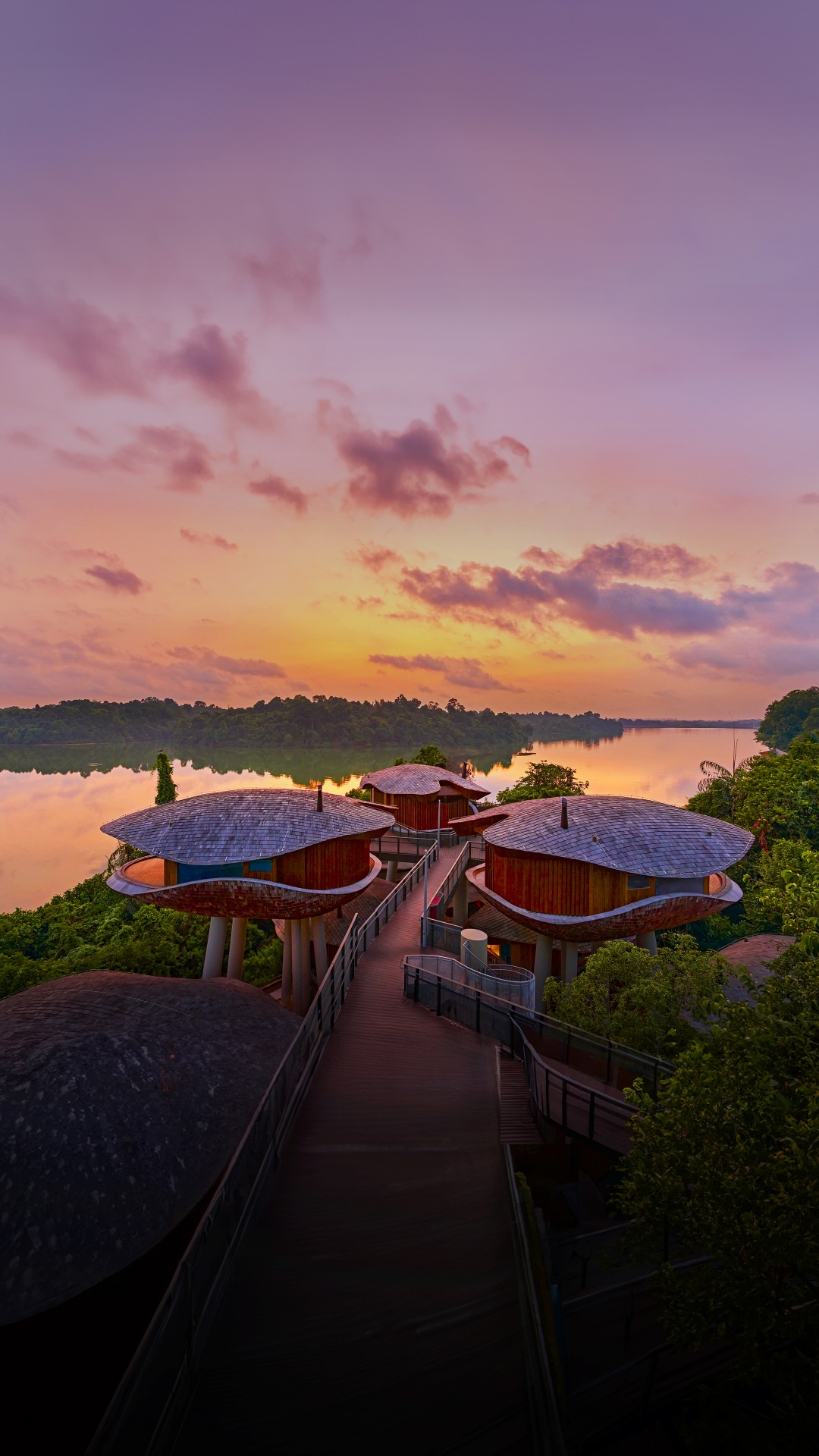 Mandai Rainforest Resort by Banyan Tree Sunset